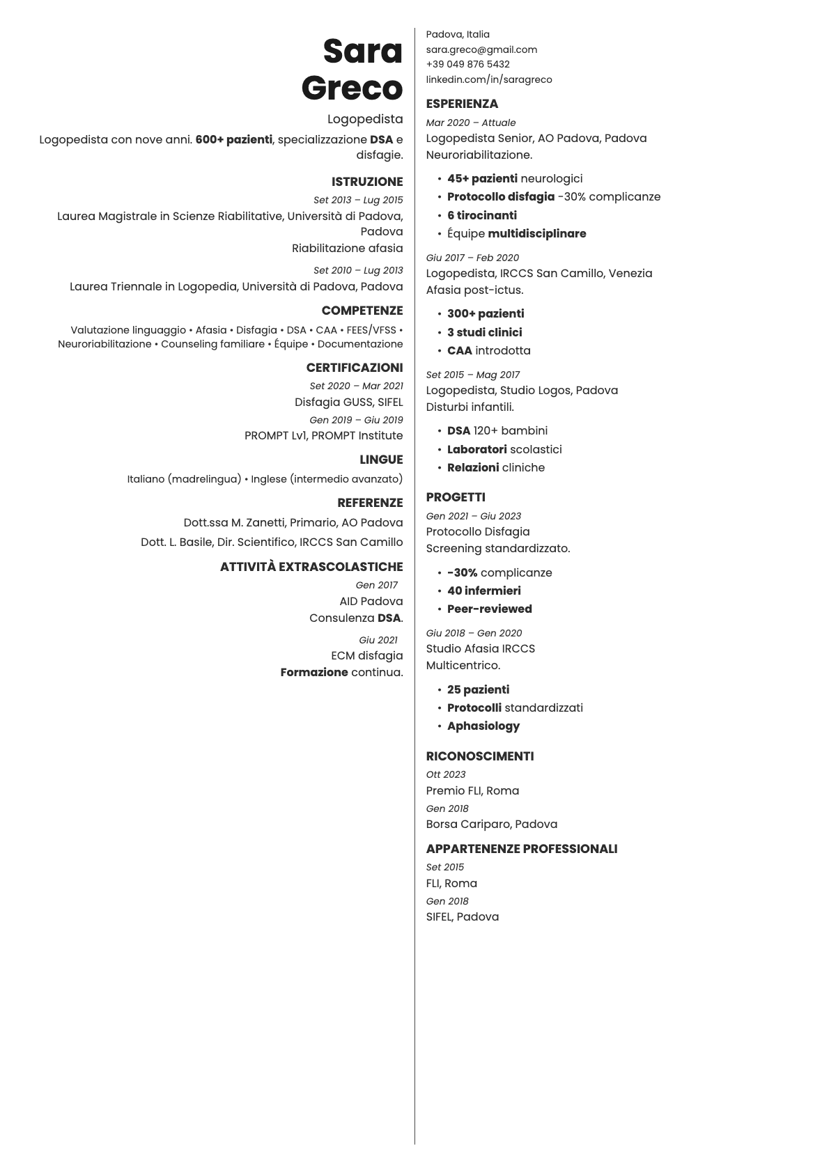 Amber resume template preview