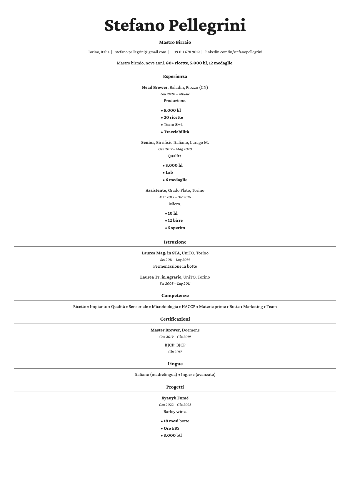 Topaz resume template preview