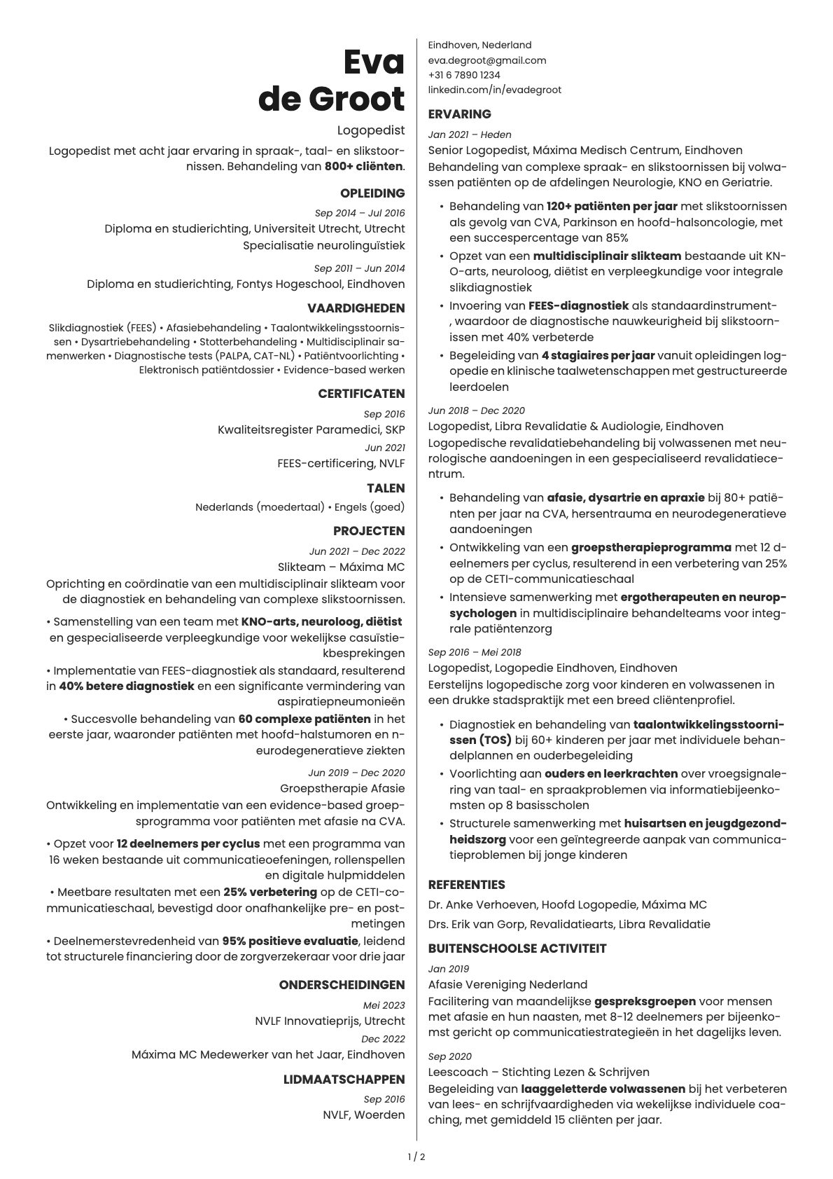 Amber resume template preview