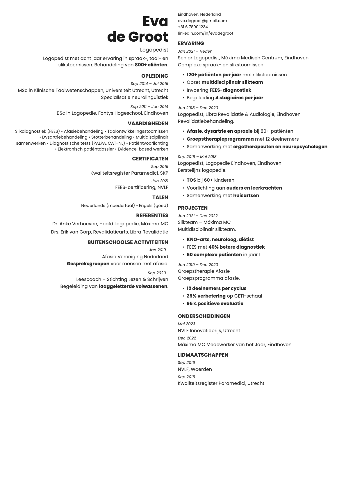 Amber resume template preview