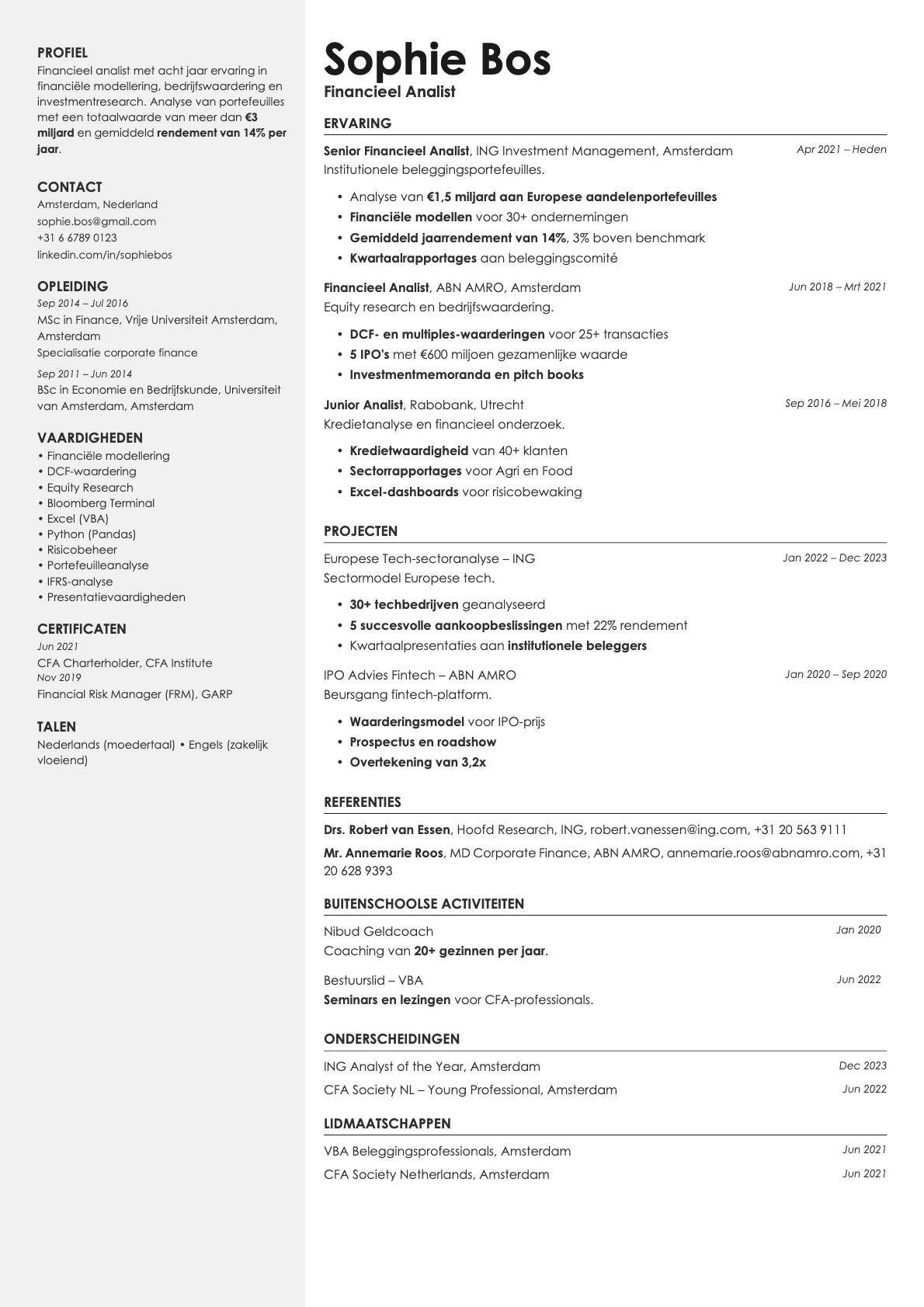 Aurum resume template preview