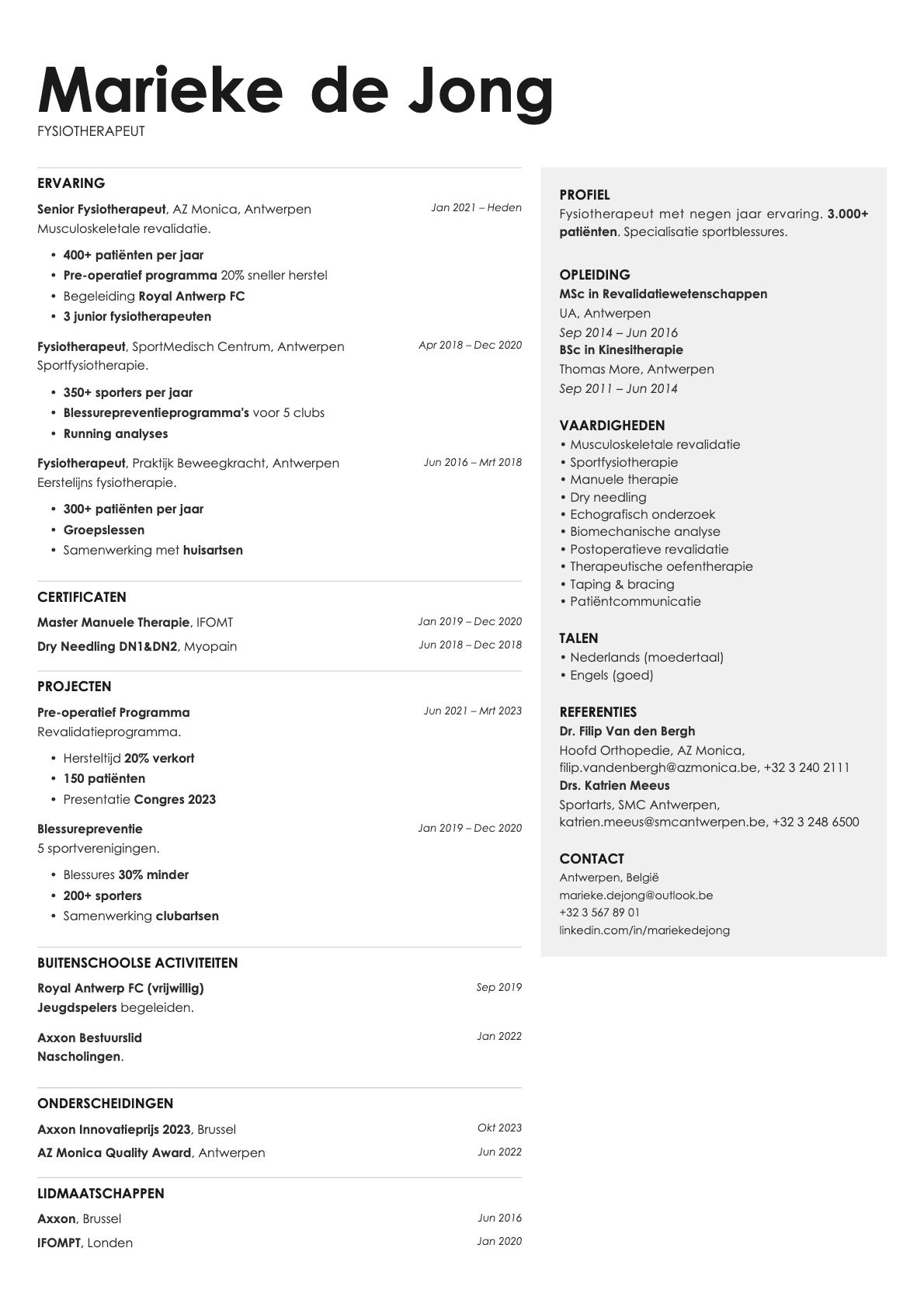 Bronze resume template preview