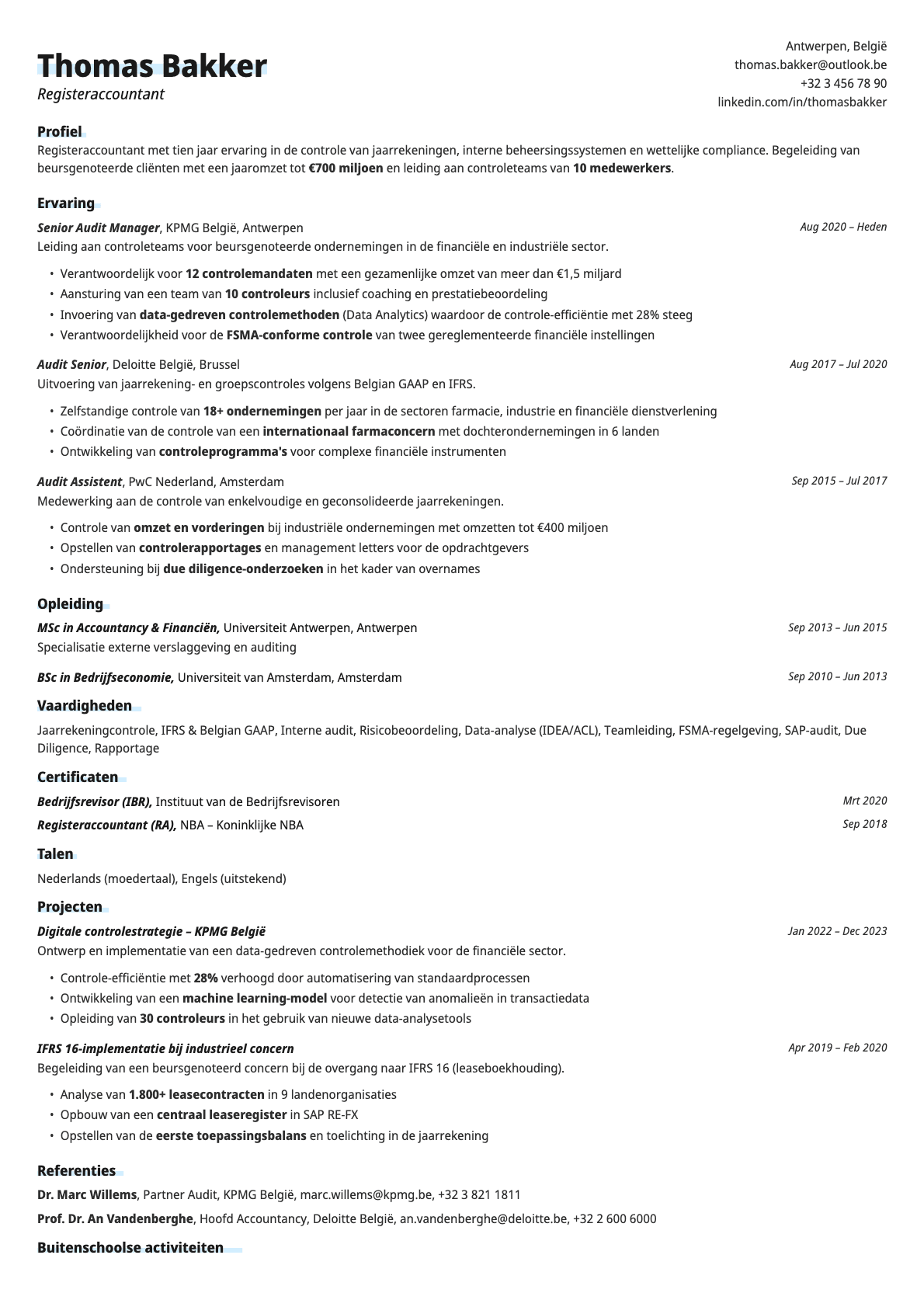 Copper resume template preview