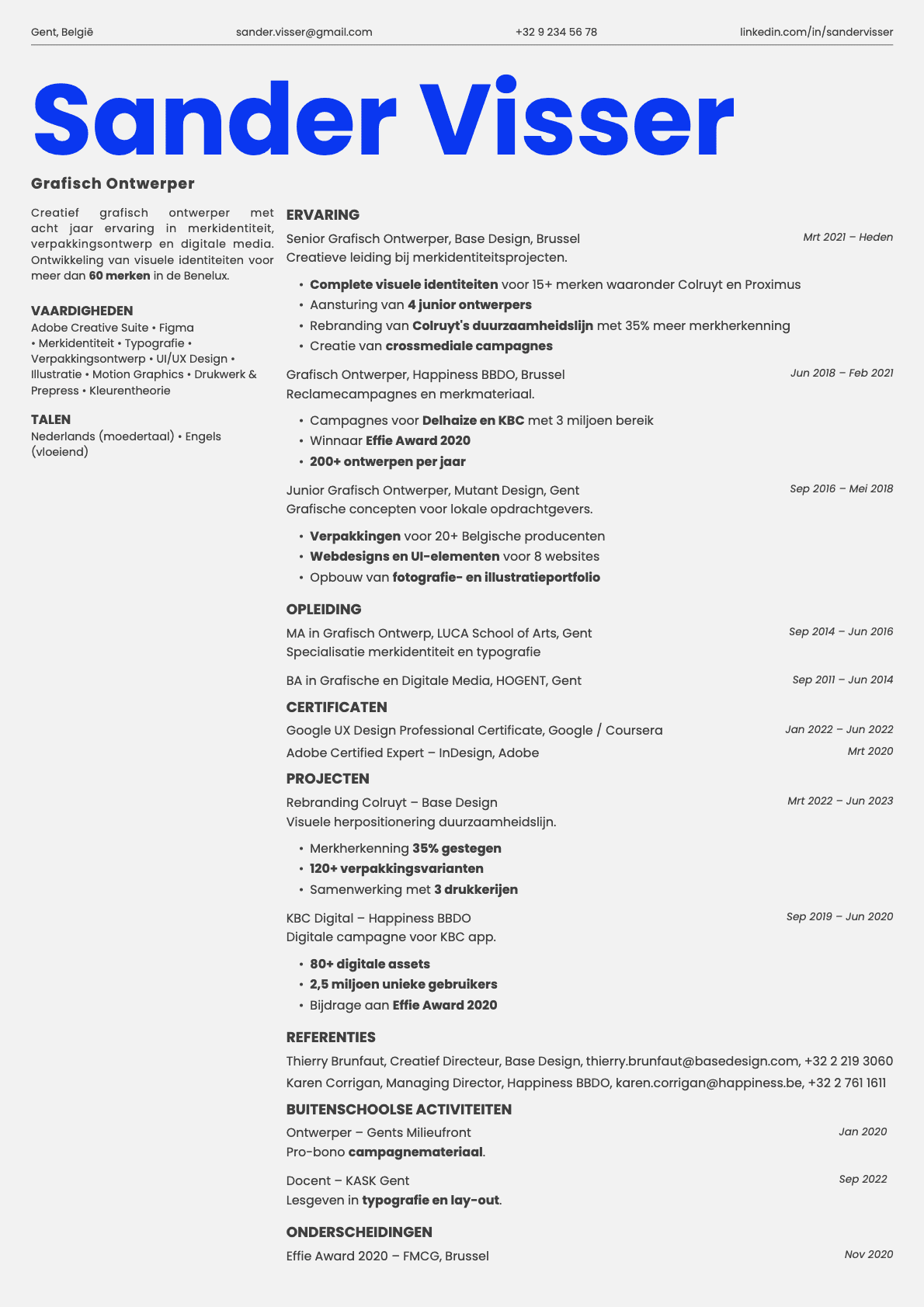 Fern resume template preview