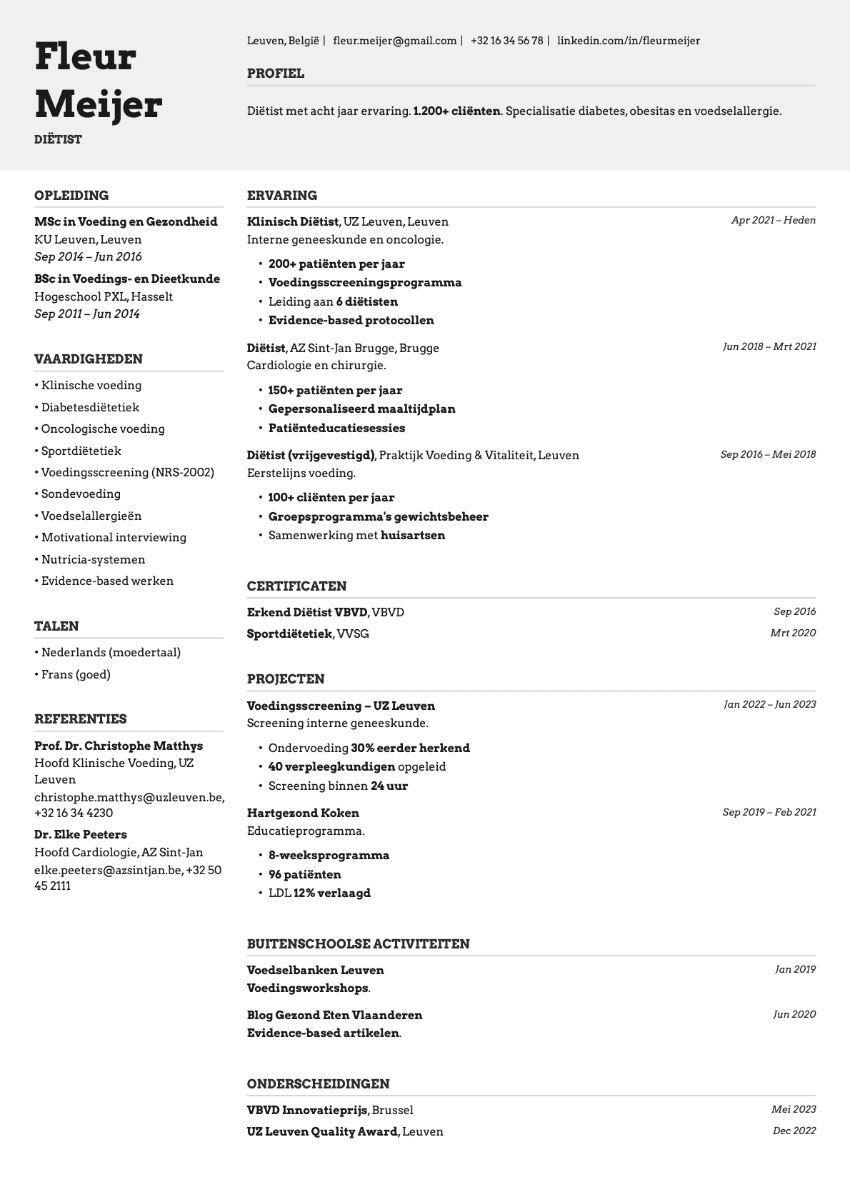 Limestone resume template preview