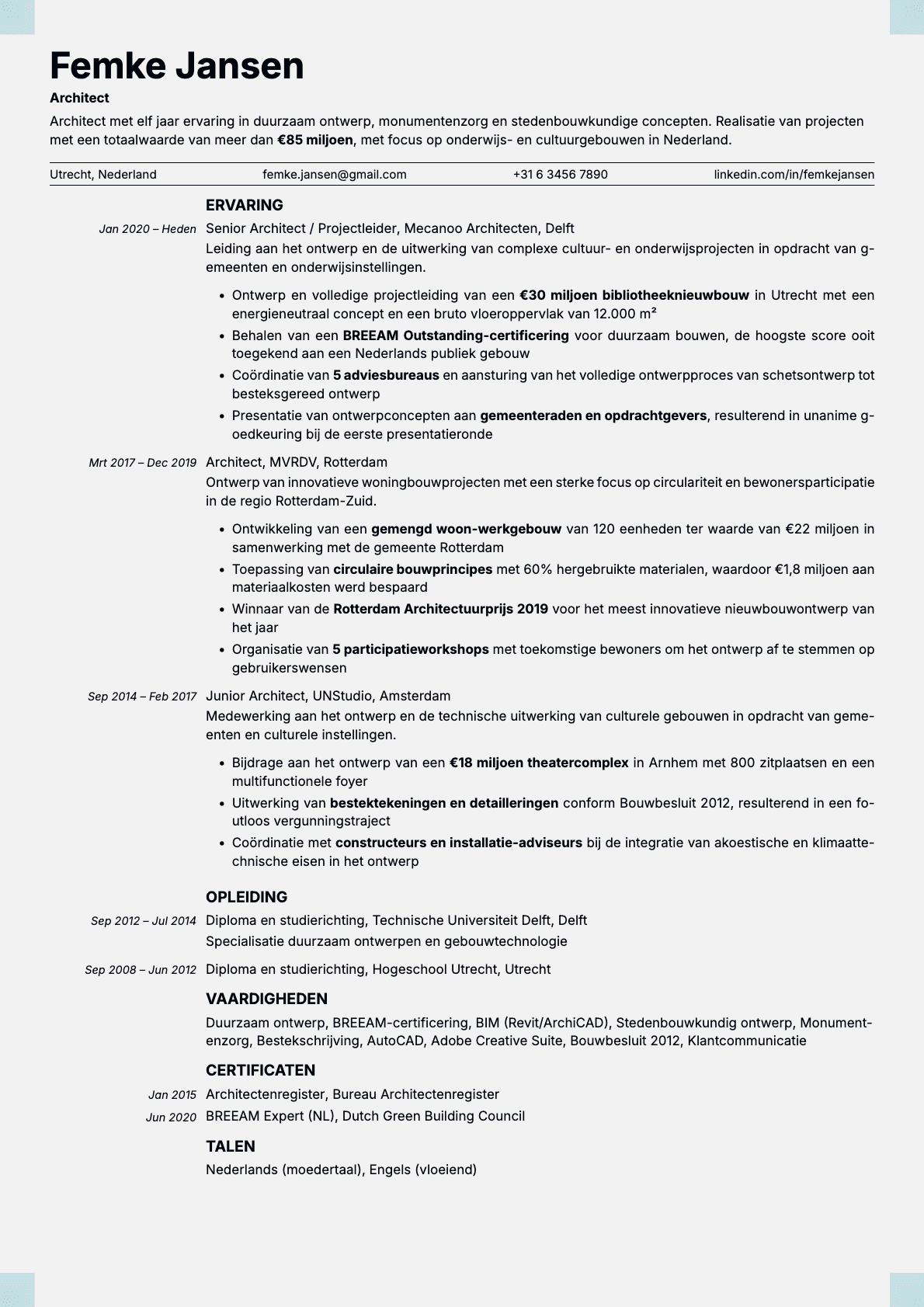 Marble resume template preview