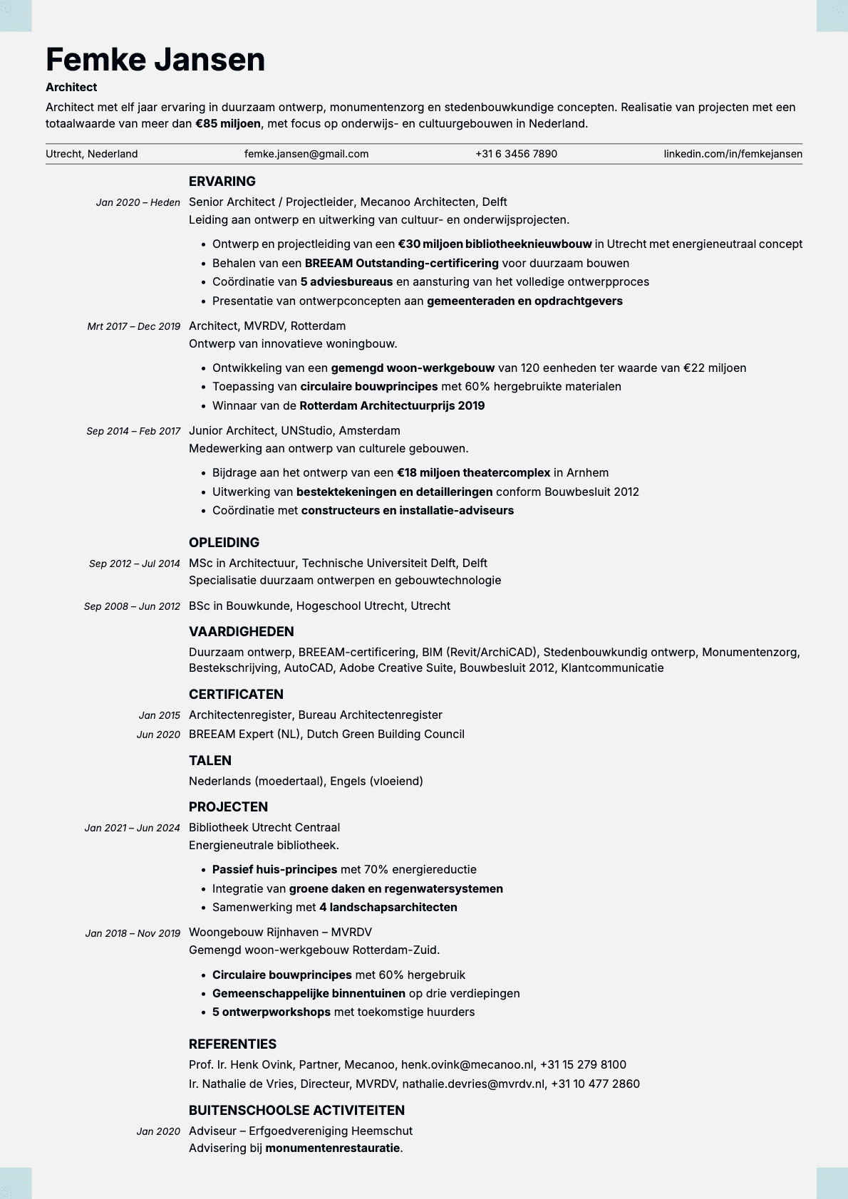 Marble resume template preview