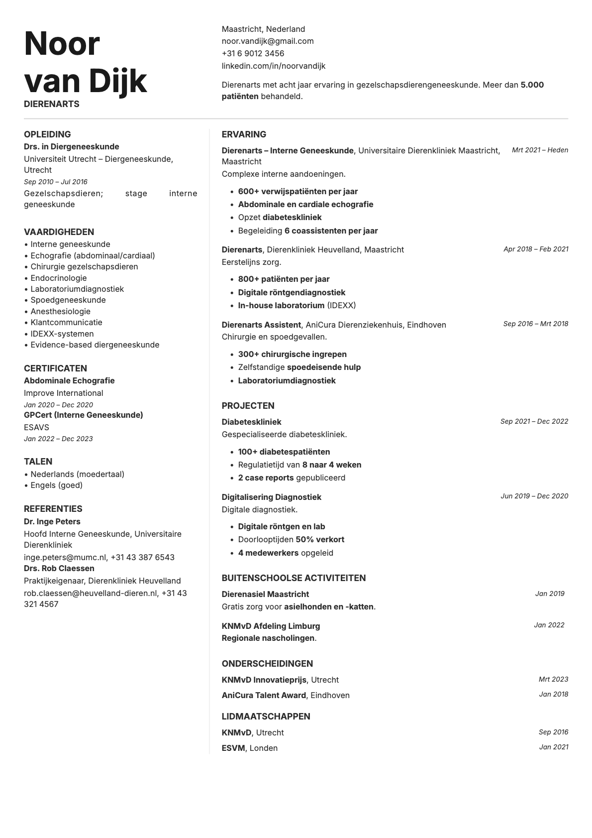 Obsidian resume template preview