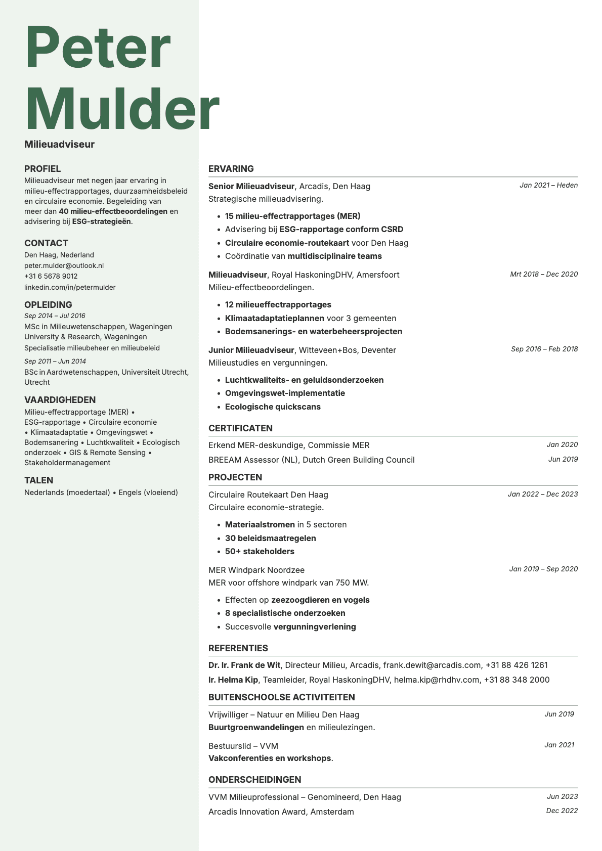 Sage resume template preview