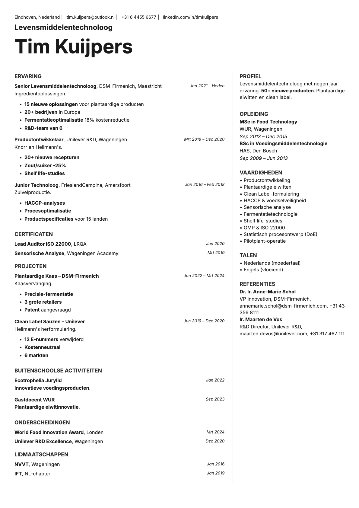 Sapphire resume template preview