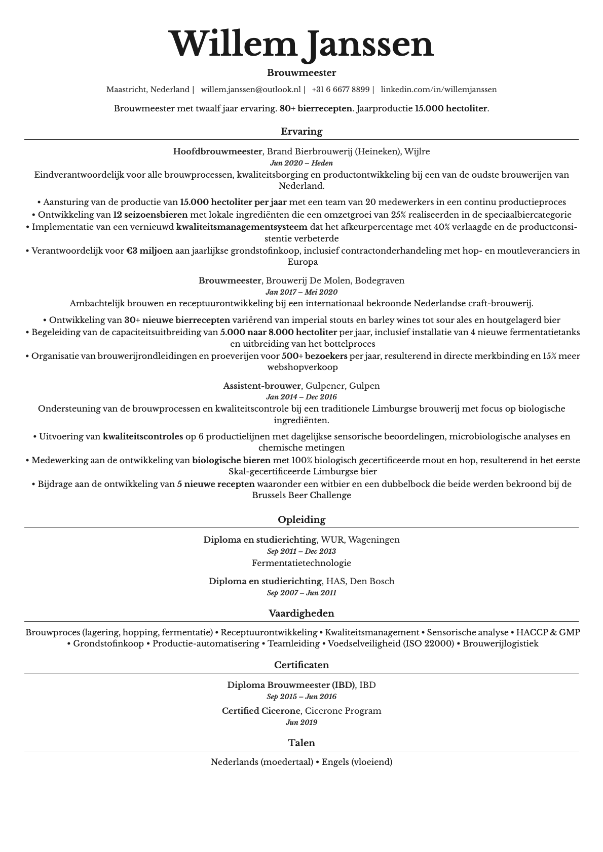 Topaz resume template preview