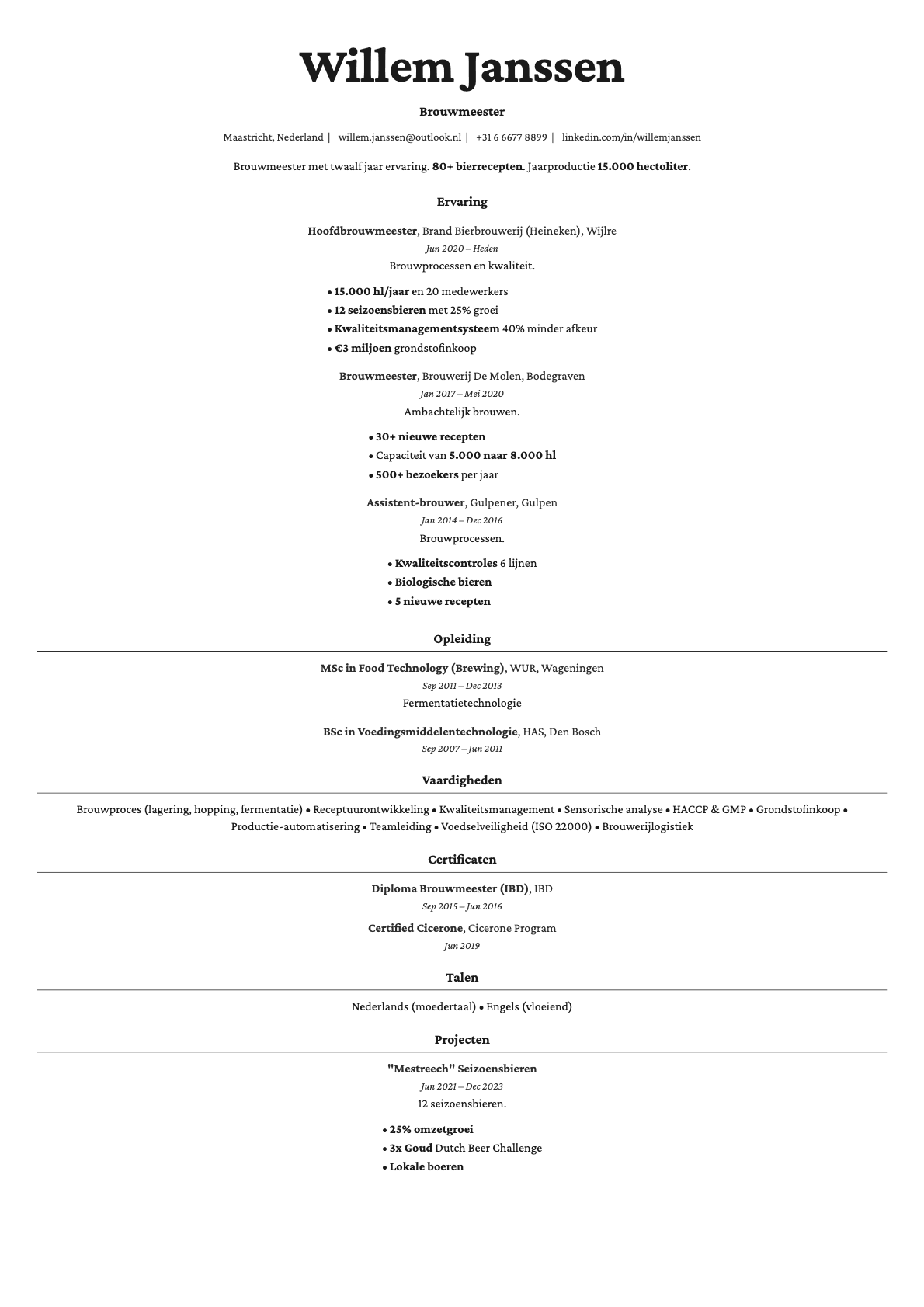 Topaz resume template preview