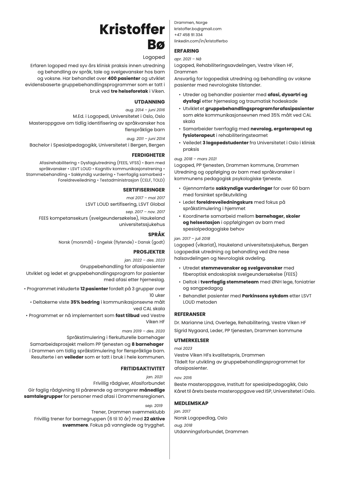 Amber resume template preview