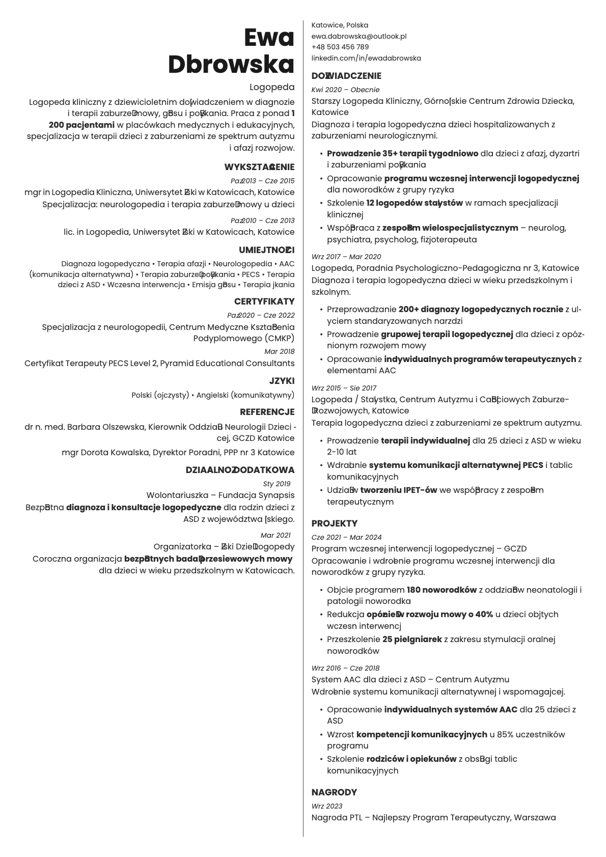 Amber resume template preview