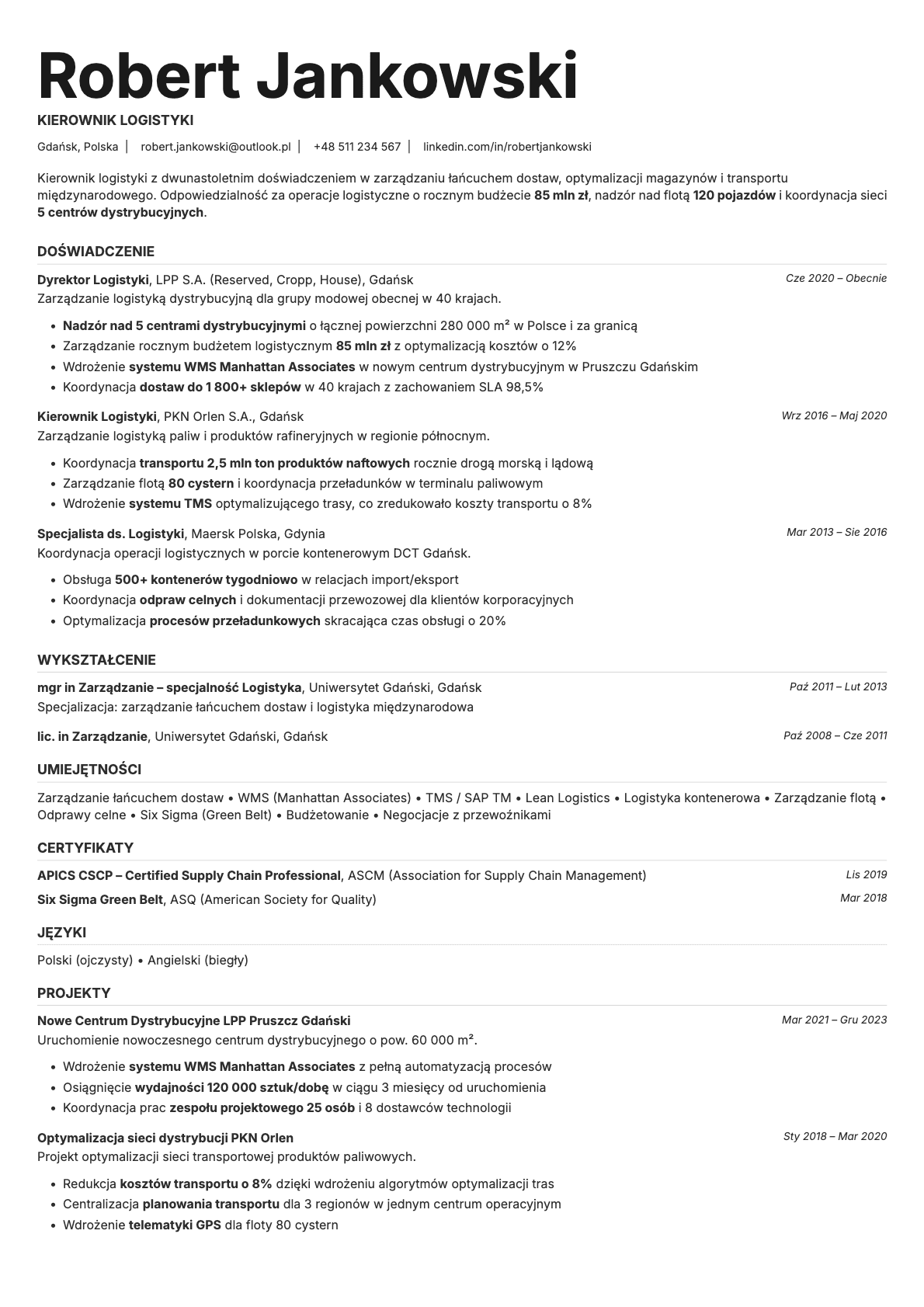 Platinum resume template preview