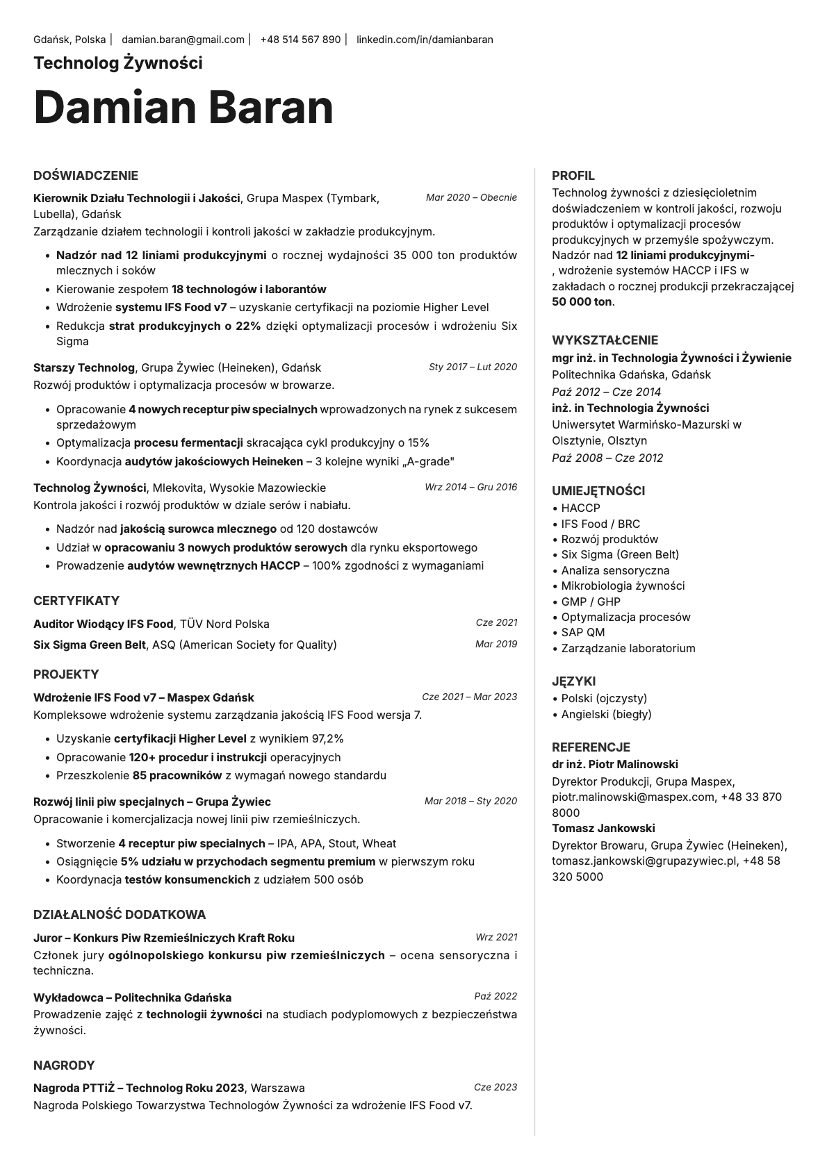 Sapphire resume template preview