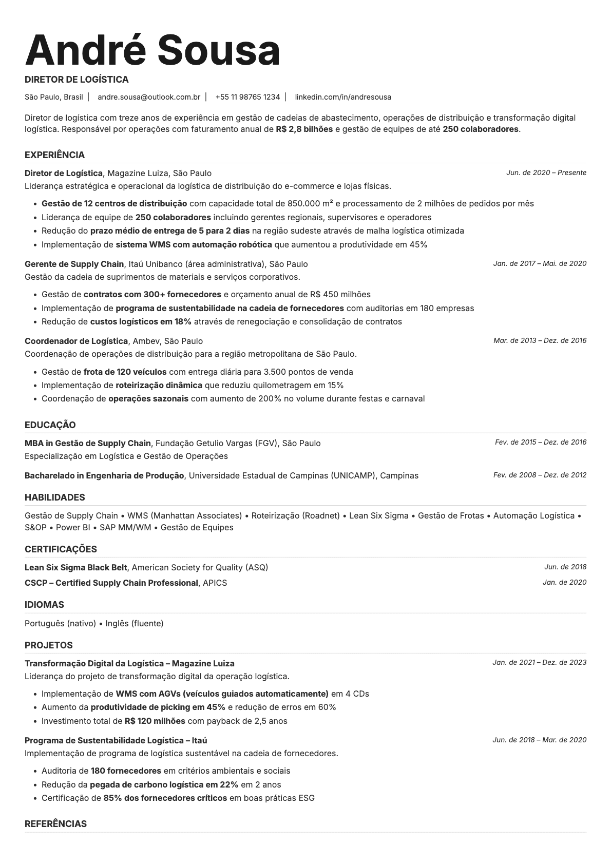 Platinum resume template preview