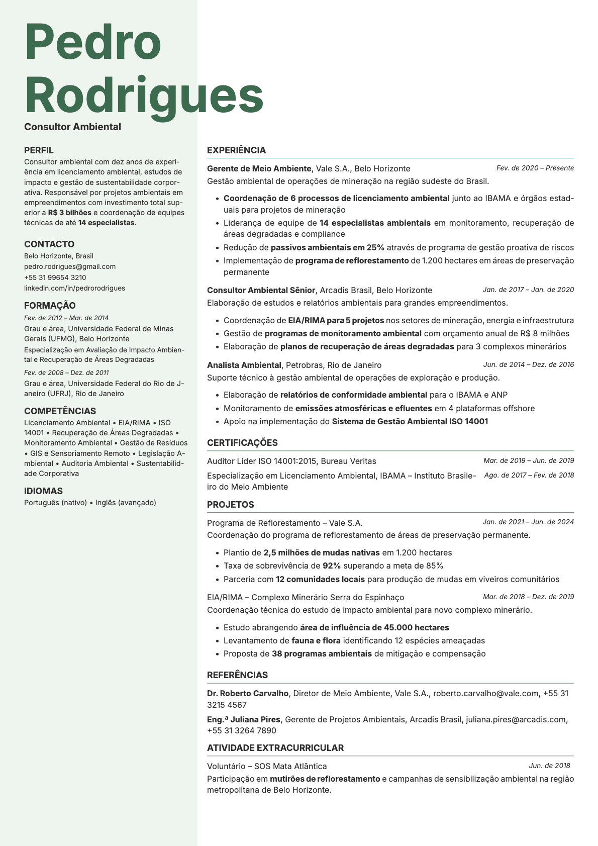 Sage resume template preview