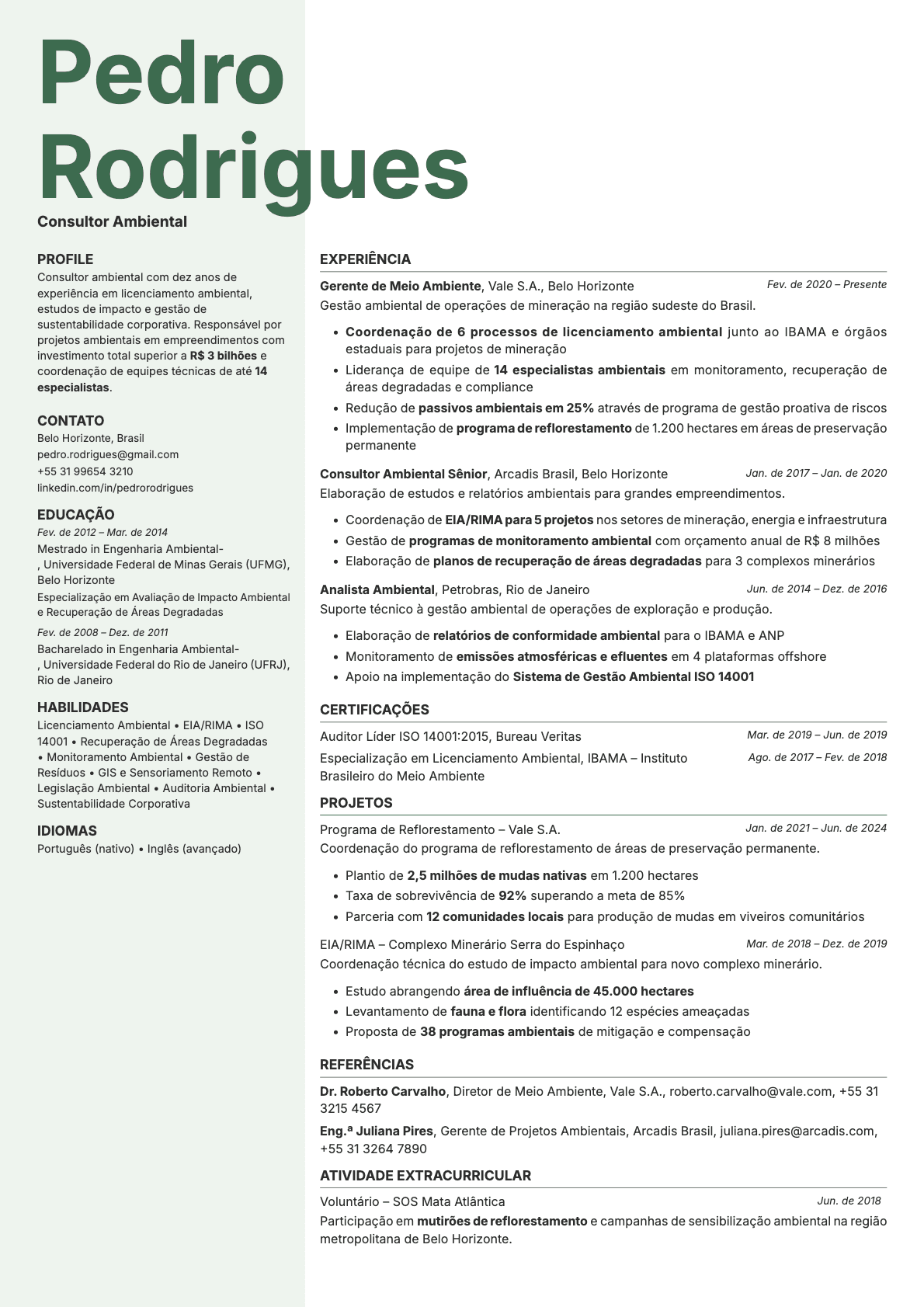 Sage resume template preview