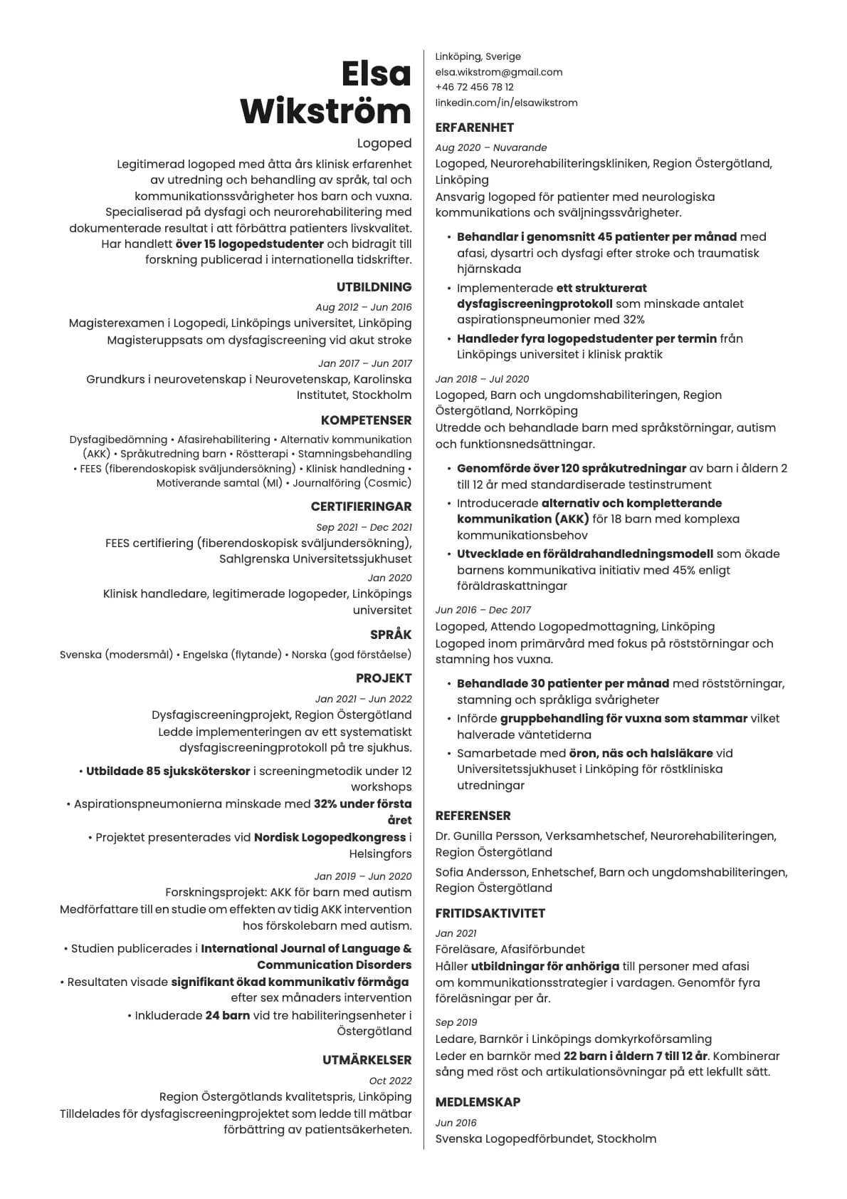 Amber resume template preview