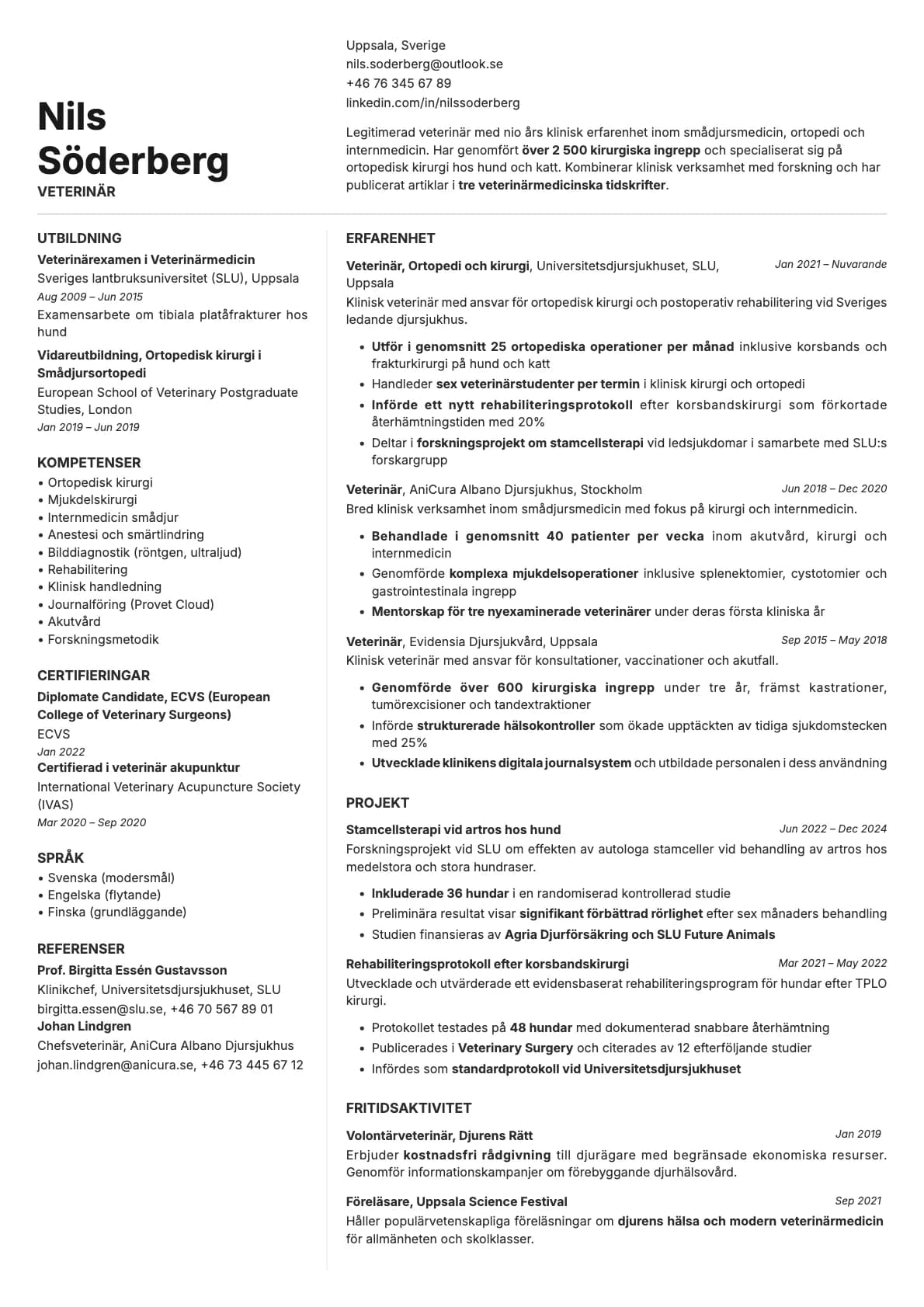 Obsidian resume template preview