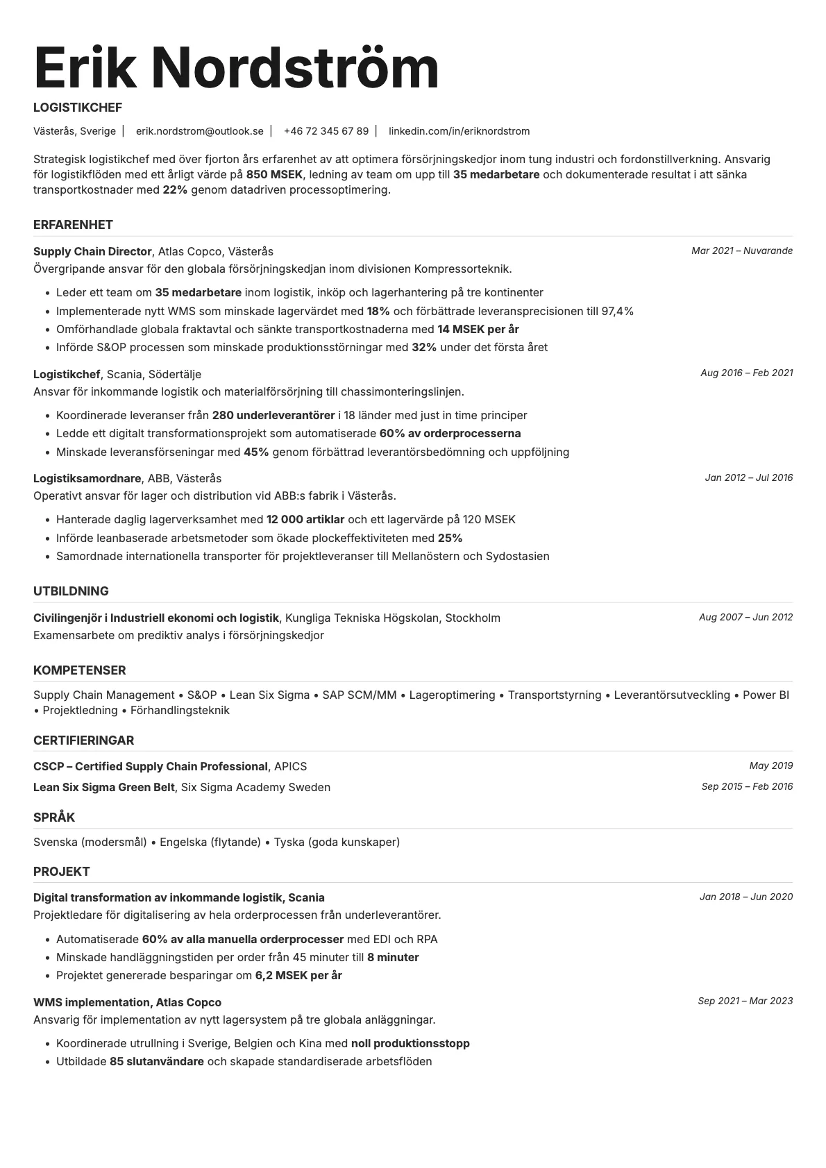 Platinum resume template preview