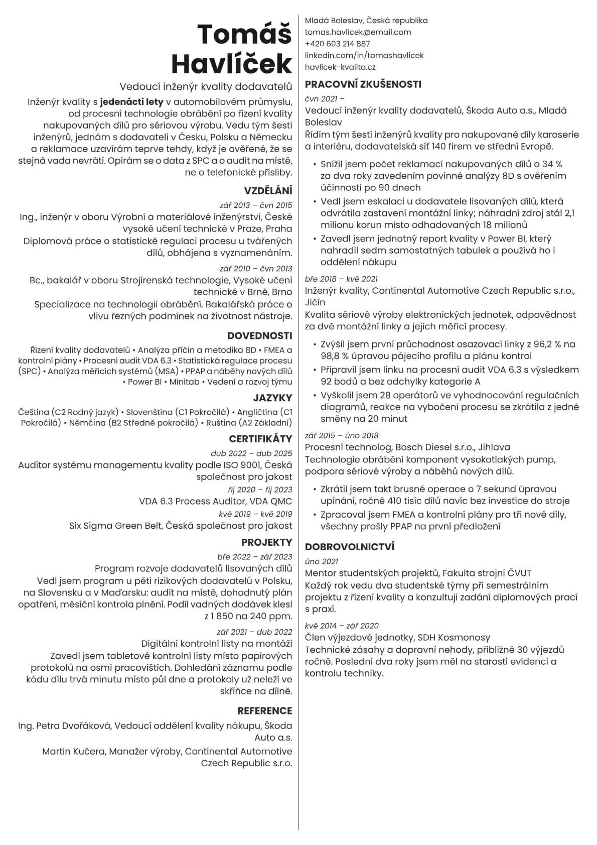 Amber resume template preview