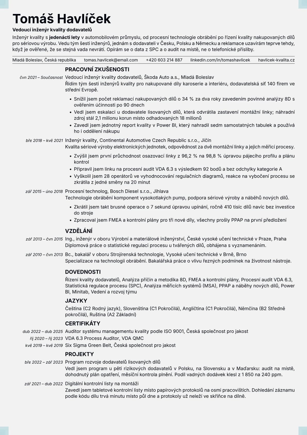 Marble resume template preview