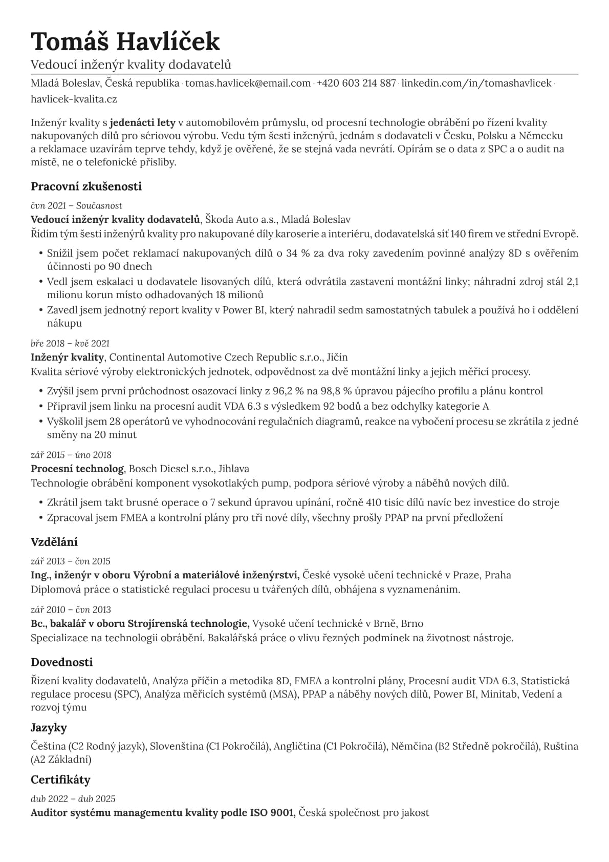 Nickel resume template preview