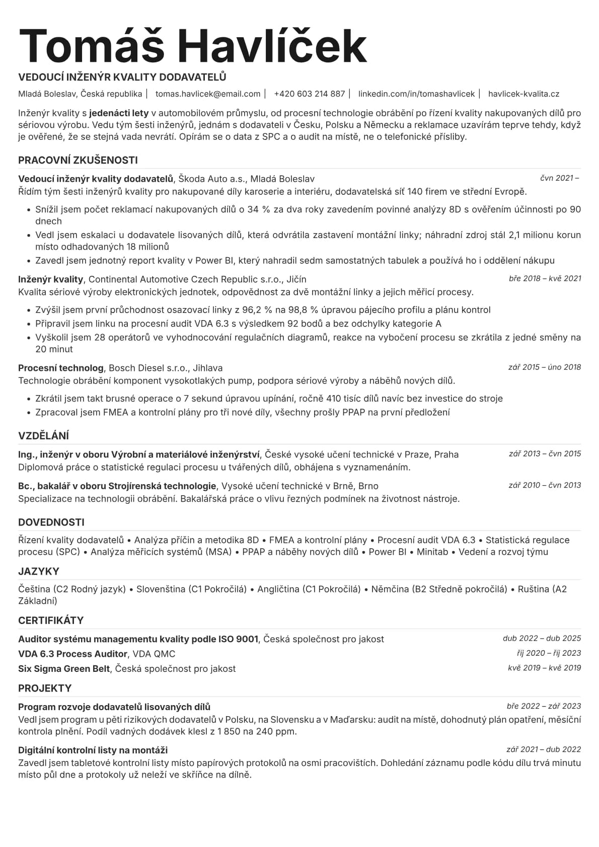 Platinum resume template preview