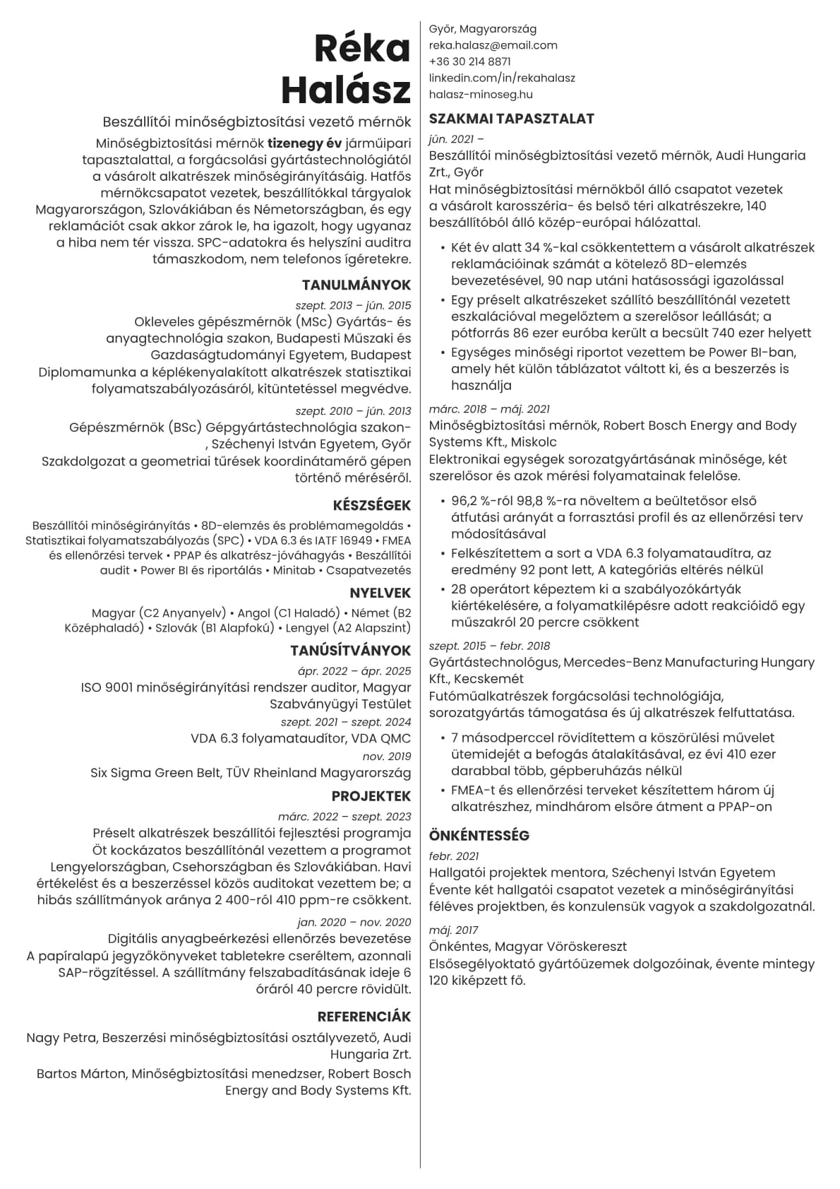 Amber resume template preview