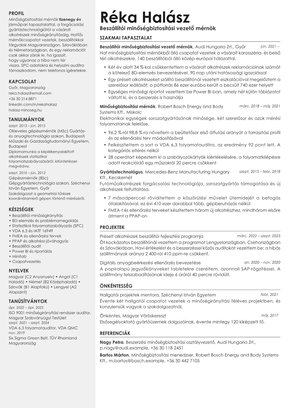 Aurum resume template preview