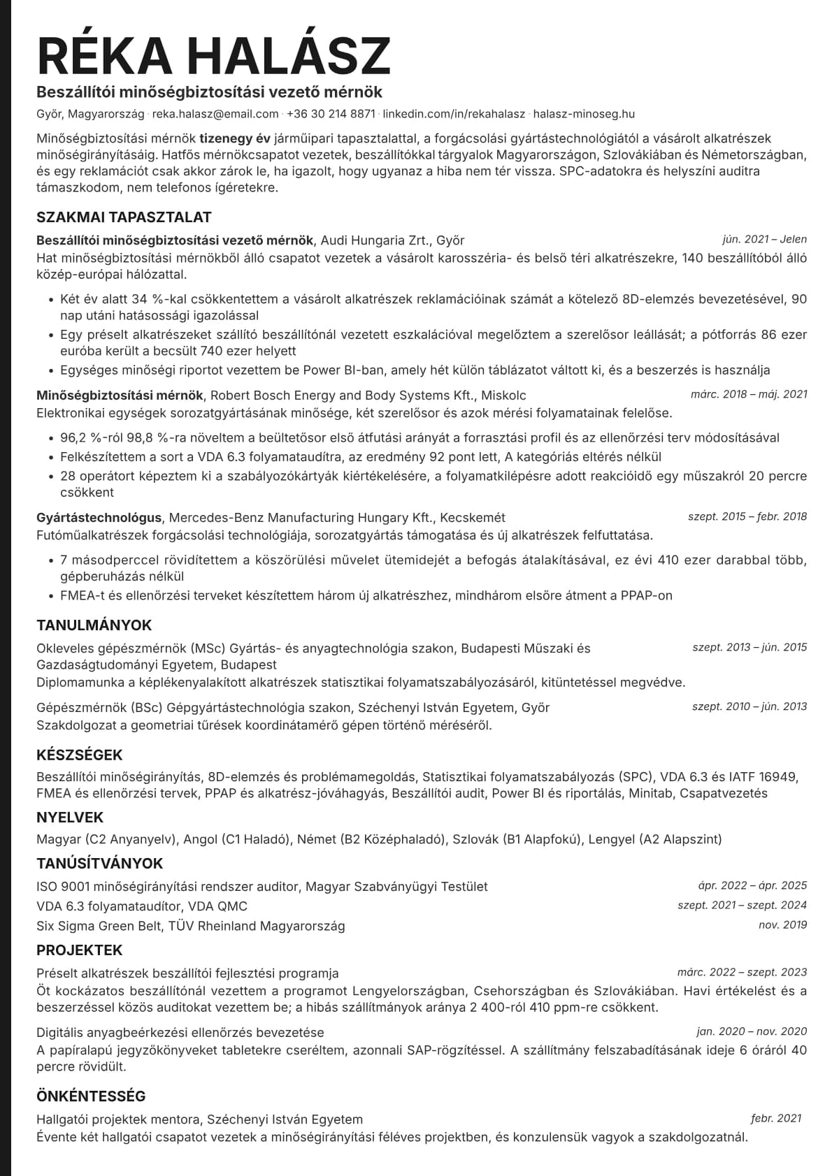 Bold Edge resume template preview