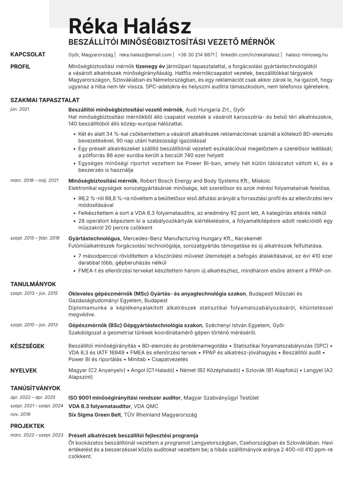 Ivory resume template preview