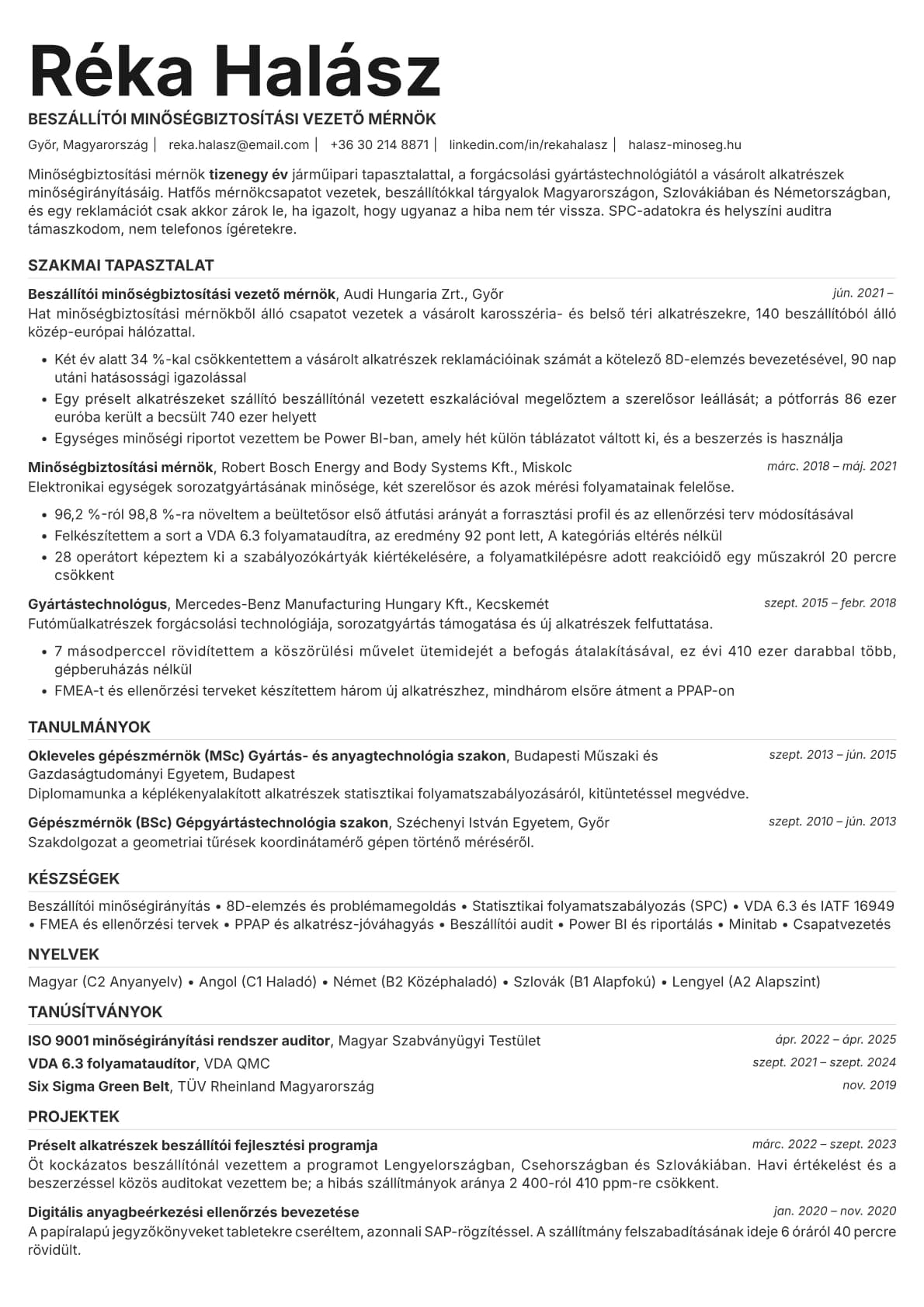 Platinum resume template preview