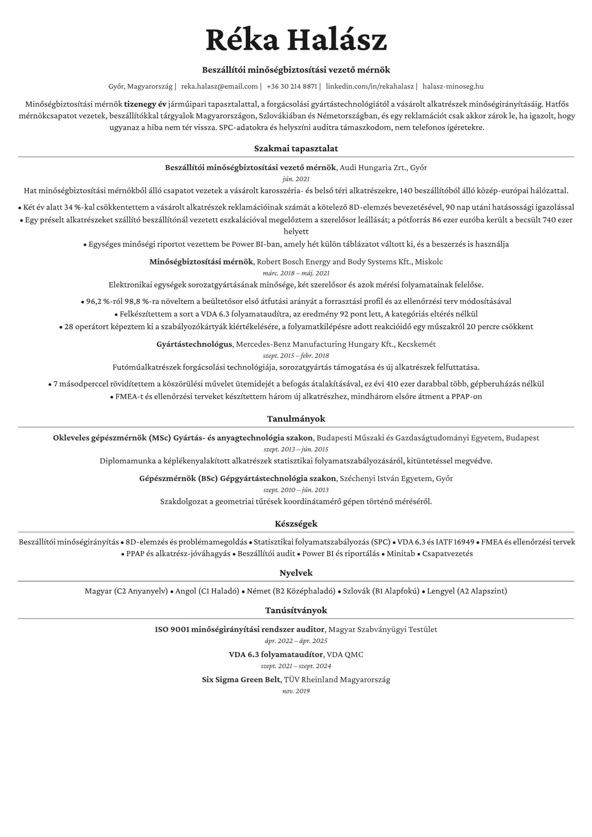 Topaz resume template preview