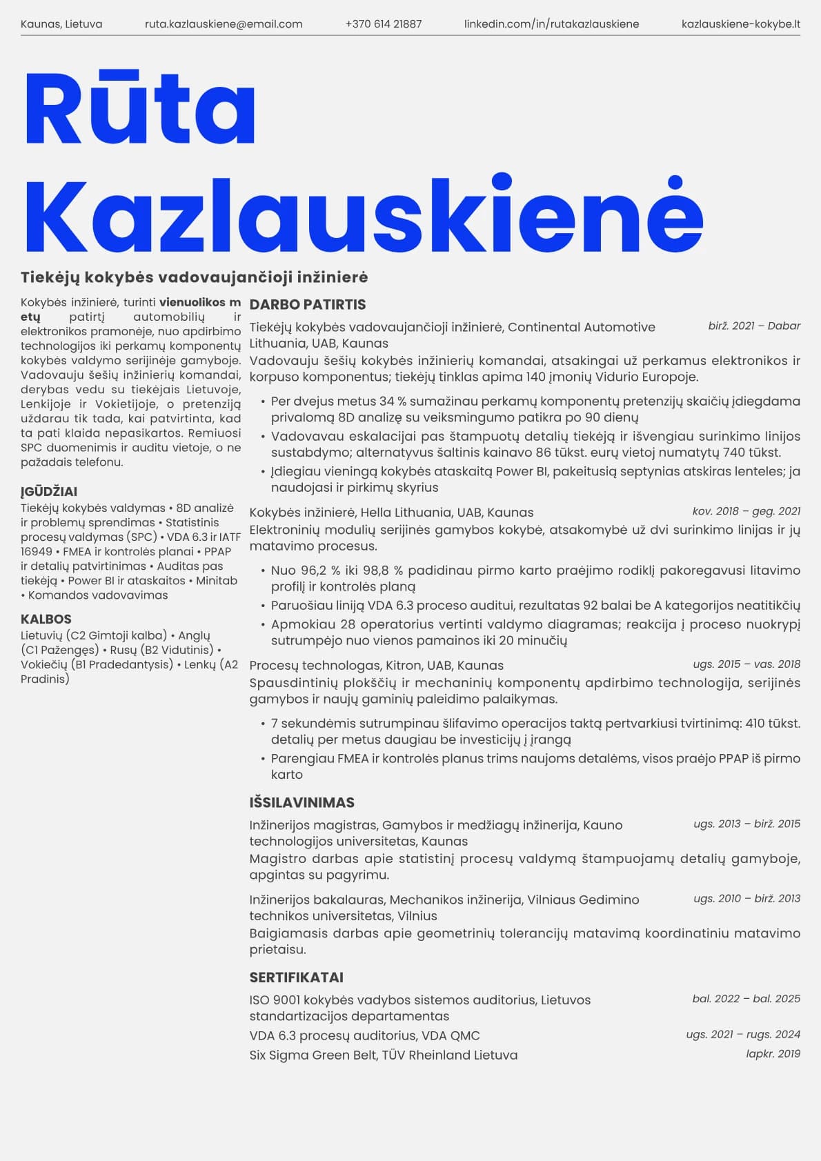 Fern resume template preview