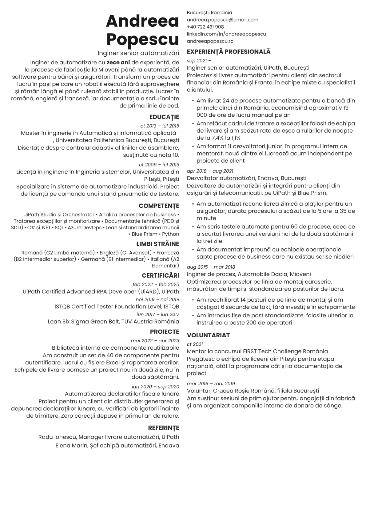 Amber resume template preview