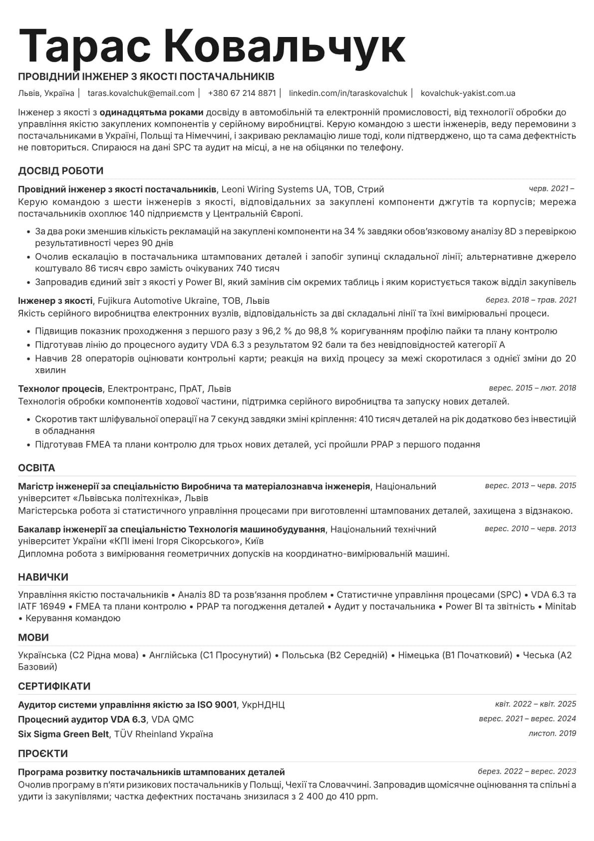 Platinum resume template preview