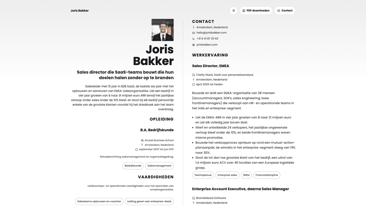 Amber online resume example