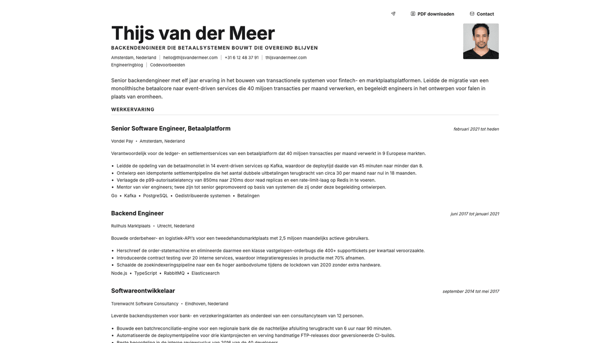 Platinum online resume example