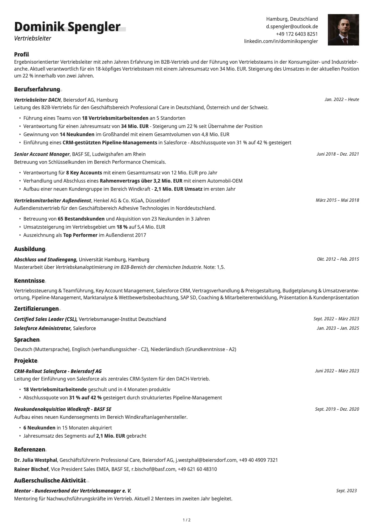 Vertriebsleiter resume example