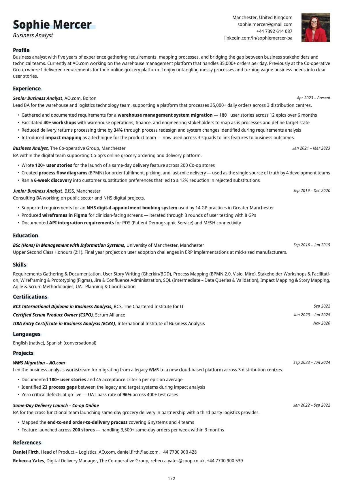 Business Analyst resume example