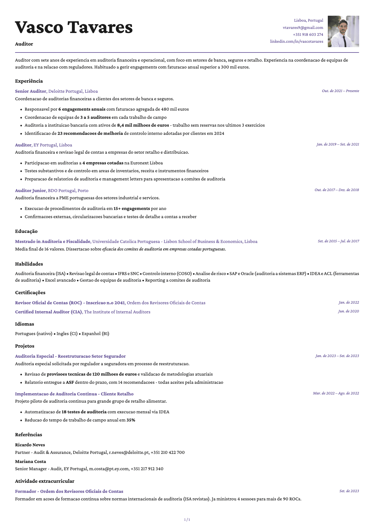 Auditor resume example