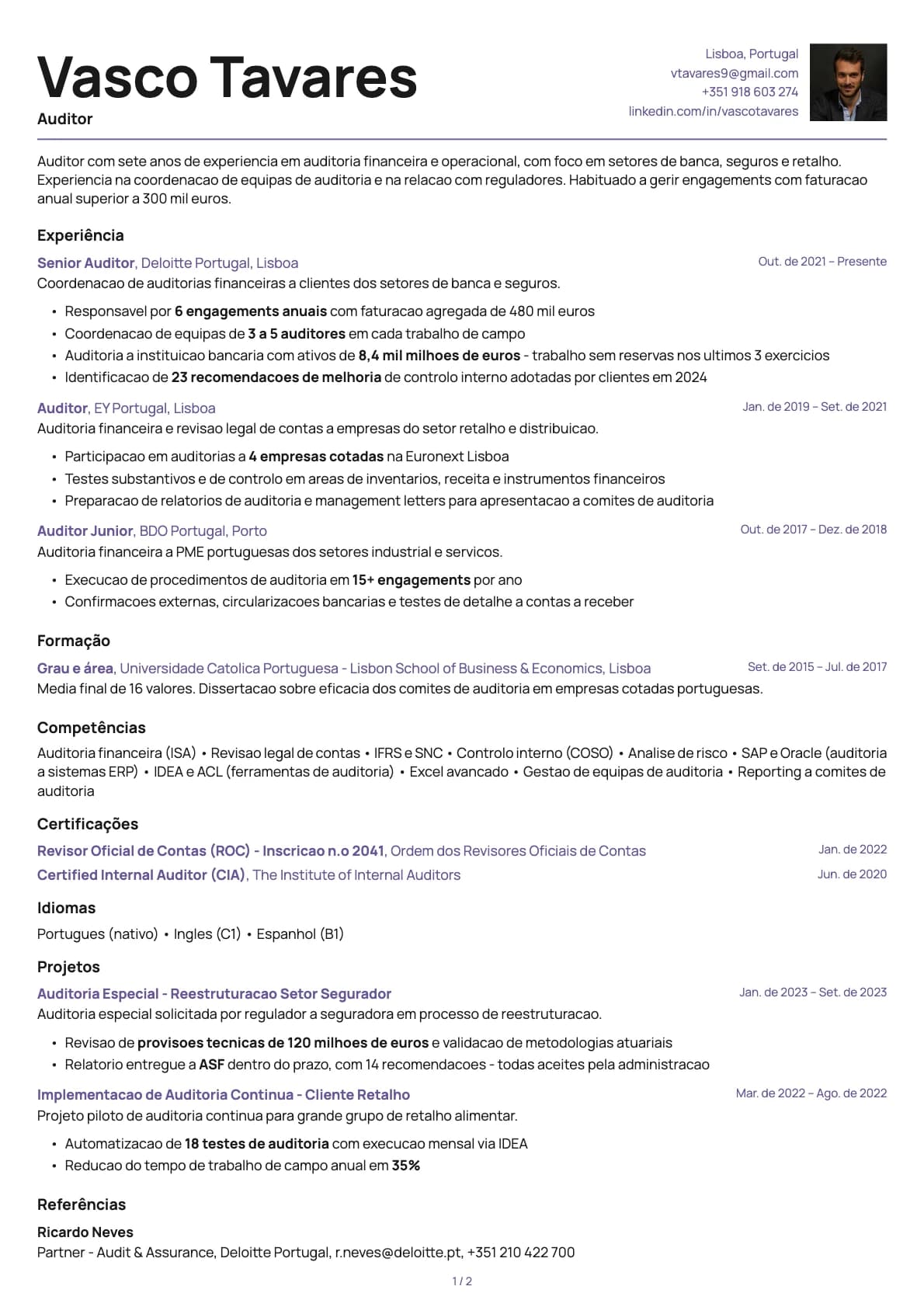 Auditor financeiro resume example