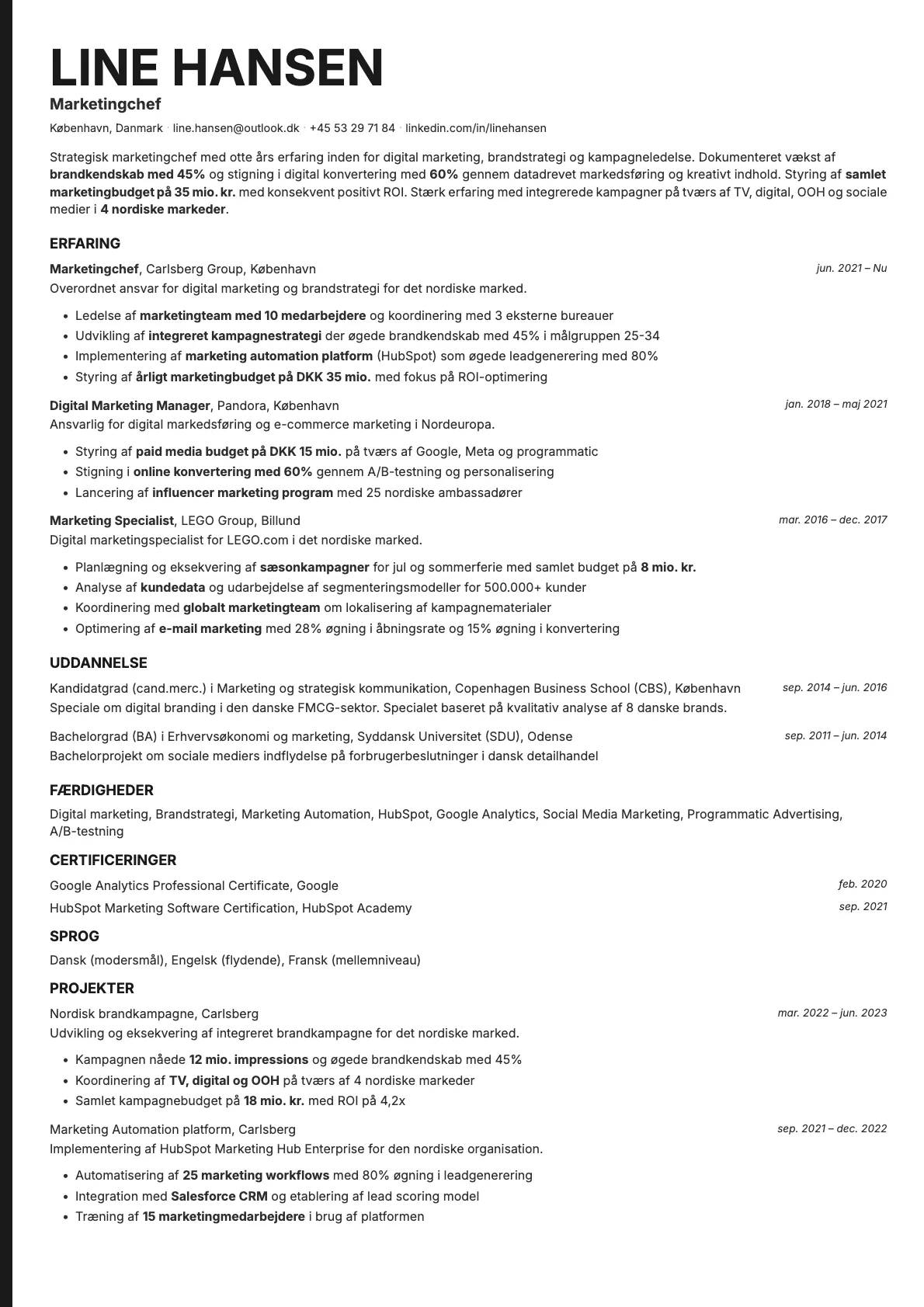 Bold Edge resume template preview