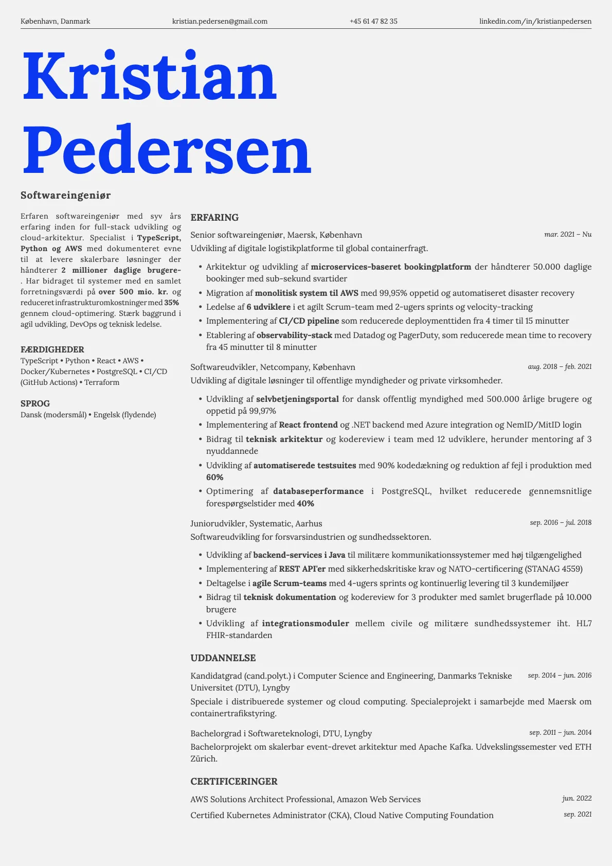 Fern resume template preview