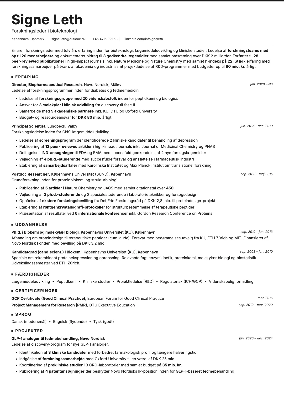 Graphite resume template preview