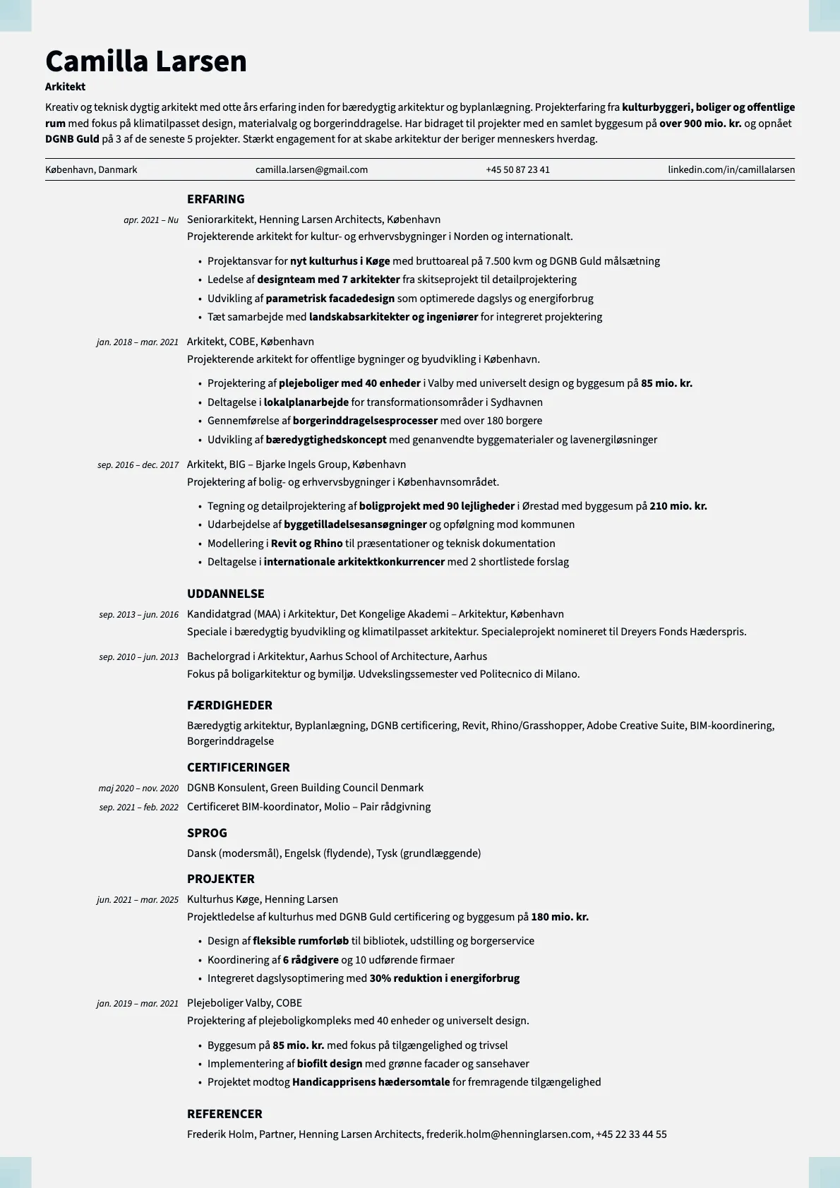 Marble resume template preview