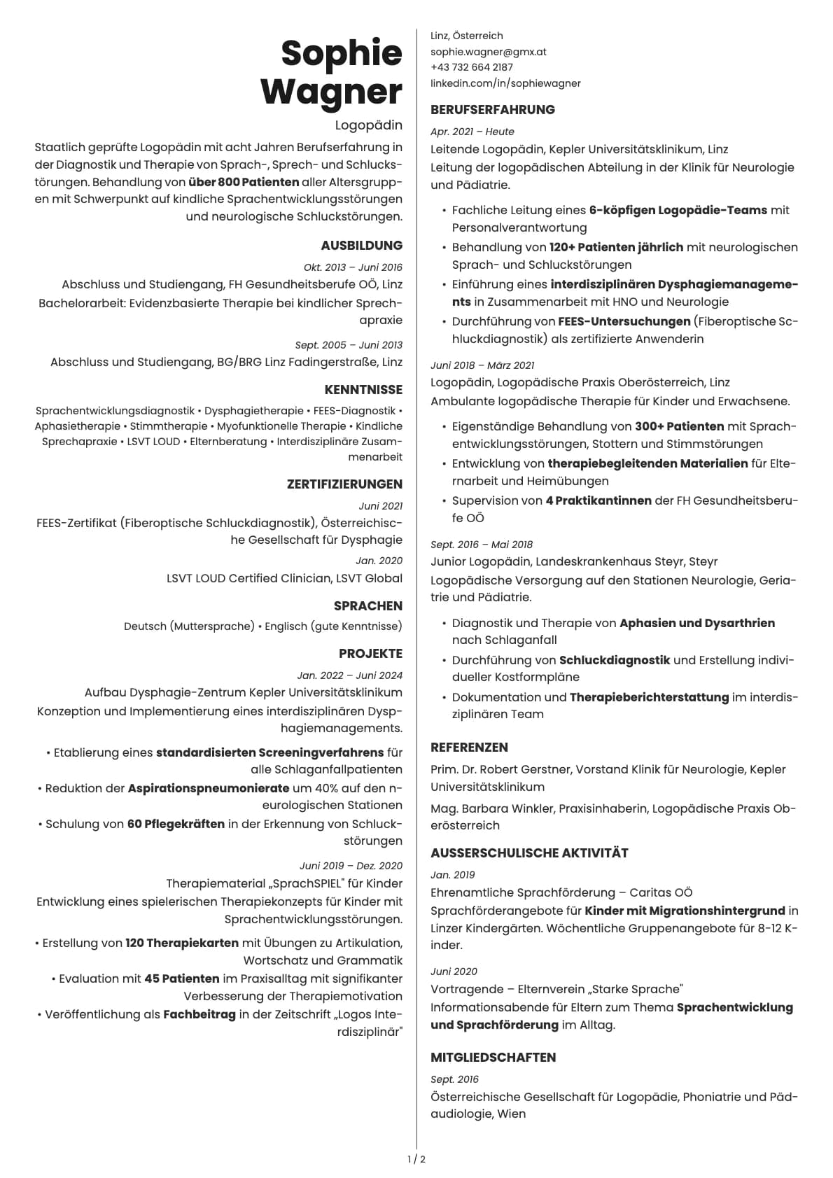 Amber resume template preview